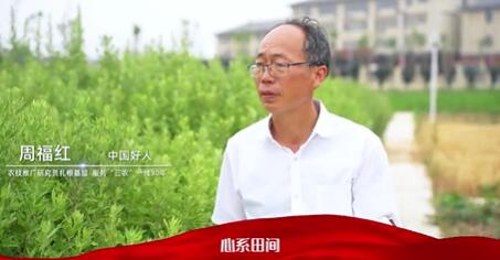 【滁州市道德模范公益广告】周福红：农技推广研究员扎根基层 服务“三农”一线30年